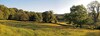 The Laurels B&B