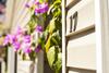 Hotel Jac� Lodge - Adults Only