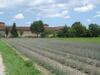 Agroturismo Cascina Duc