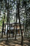 Bed & Breakfast Nine Trees Forest House