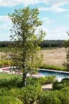 Ch�teau & Village Castigno - Wine Hotel & Resort
