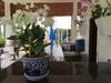 Aparthotel Nadivana Serviced Apartments