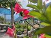 Bed & Breakfast Da Erminia
