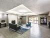 Hotel La Quinta Inn & Suites Webster Clearlake