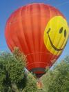 Hotel Summer Land