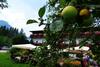 Bed & Breakfast Wieselm�hle Forellenhof