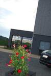 Hotel Das Meister