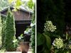 Oscar's Garden