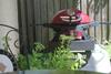 Seaside Apartment Huskisson Jervis Bay With Private Sunny Garden