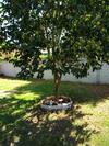 Guest House Fam�lia Canal