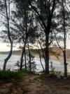 Ess�ncia Do Mar