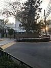 Apartamento Las Camelias 2861