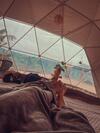 Hotel Entre Verdes Glamping