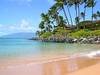 Hotel Napili Kai Beach Resort