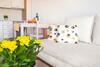 Pelagos Holidays Apartments
