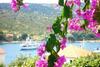 Apartment With One Bedroom In Vinisce With Wifi