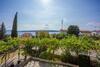 Apartment Anton 61 Pax