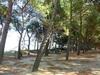 Apartamentos Locazione Turistica D'annunzio - Pit125-2