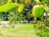 Luxurious Villa In Zwartewaal With Private Garden