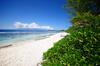 #7 Beach Villa Bliss By Tahiti Villas