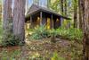 The Tea House