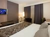Mercure Grand Hotel Grenoble President