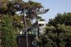 Hotel Green Park Resort