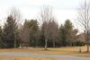 Hotel The Pineola