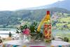 Hostal Landhaus Gastein