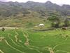 Hoa's Homestay Sapa