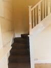 Hostal North London Cottage