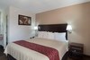 Hotel Red Roof Inn Springfield, Il