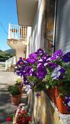 Apartamentos Casa Alvarina - Luarca