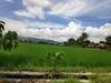 Hostal Akar Wangi 2 Homestay