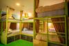 Big Tree Hostel