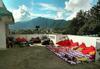 My Friend's Hostel
