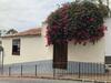 Apartamento Estudio La Penca