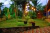 Bed & Breakfast Hiri Moon Villa