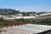 Hostal Nh� M�y Homestay