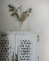 Hostal La Pluma