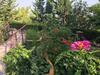 Agroturismo Caba�as de Madera Y Bungalows - Gilma�as 3
