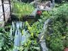 Agroturismo Caba�as de Madera Y Bungalows - Gilma�as 3