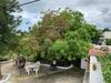 Villa G�mez