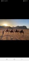 Hotel Bedouin Future Camp