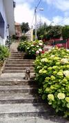 Calle Quinta, 3