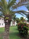 Apartamento Appartement de Charme Au Bord de Mer