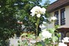 Hostal Wohlf�hlpension Illmitzerhof