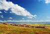 2 Bdr Seaside Villa With Private Pool Near Nesebar & Sunny Beach
