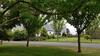 Villa Ohoka Country Retreat