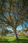 Recreo San Andr�s